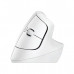 LOGITECH LIFT VERTICAL ERGONOMIC WIRELESS MOUSE - OFF-WHITE/PALE GREY LOGITECH LIFT VERTICAL ERGONOMIC WIRELESS MOUSE - OFF-WHITE/PALE GREY