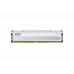 KLEVV FIT V DDR5 GAMING OC 16GB (16GBx1) 5600MT/S