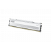KLEVV FIT V DDR5 GAMING OC 16GB (16GBx1) 5600MT/S