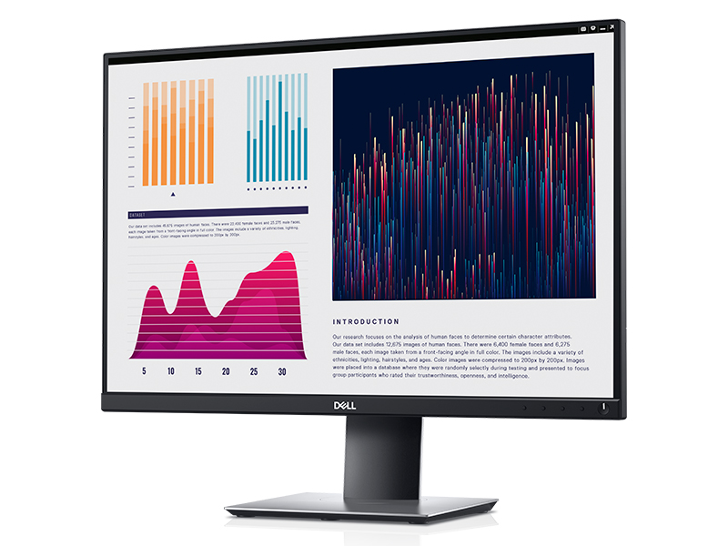 DELL P2421D 23.8\
